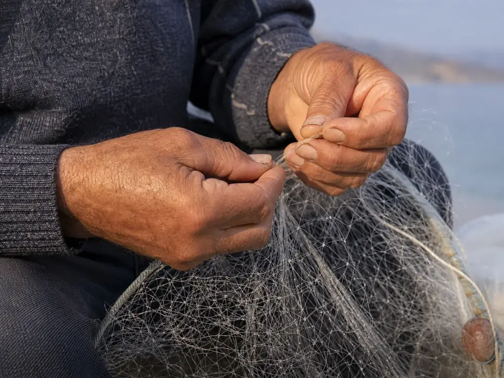 About Fish Shop Ardit | Family-Run Fresh Fish in Saranda
