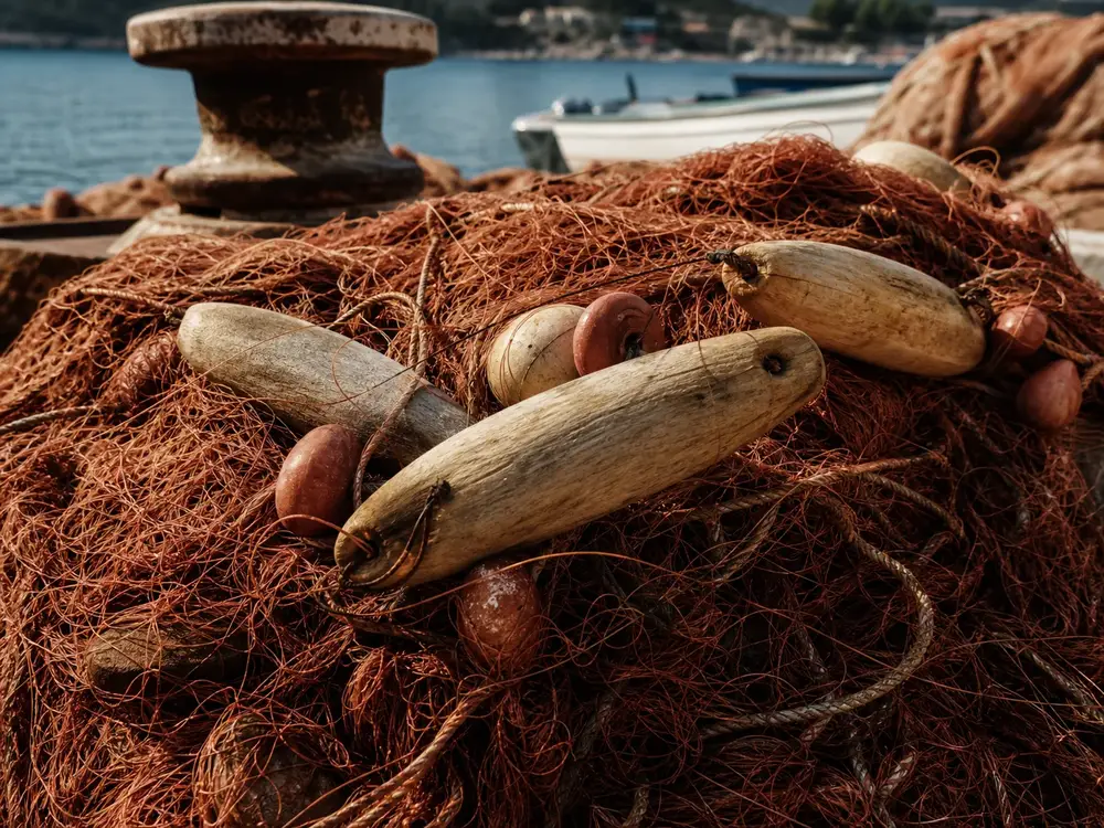 Fish Shop Ardit, Saranda — supporting image