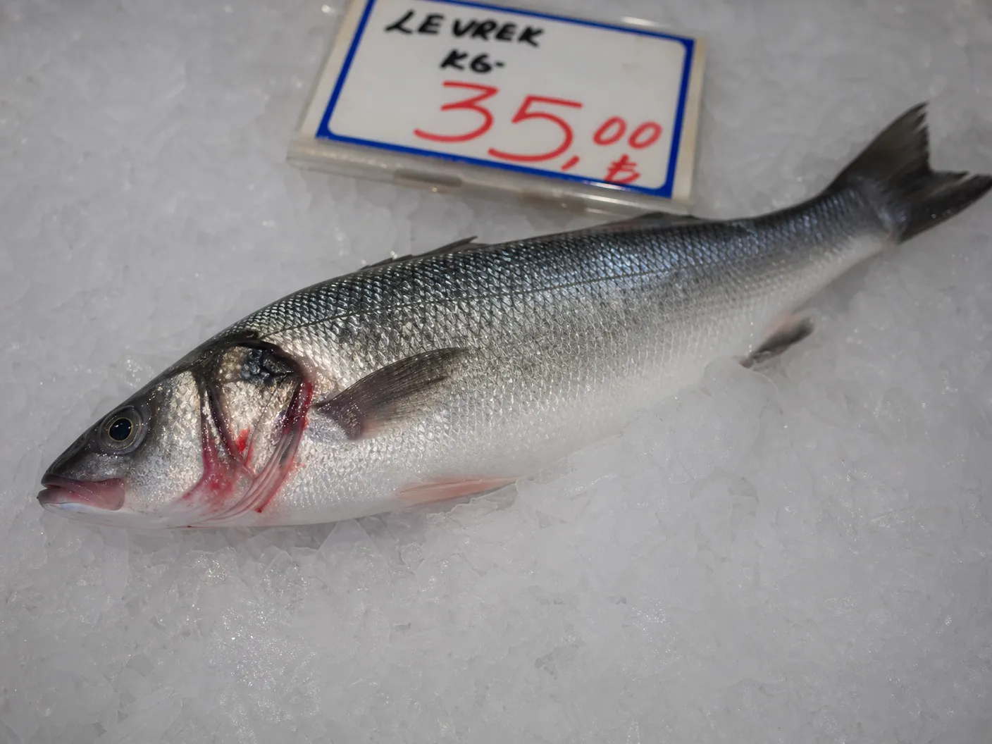 Fresh sea bream on ice at Saranda fish counter